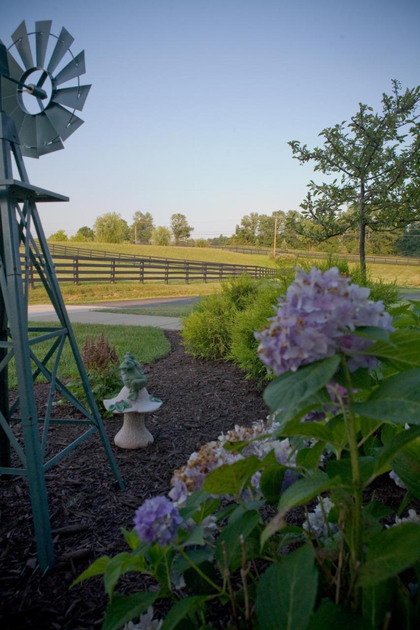 Pillow And Paddock B&B La Grange Extérieur photo